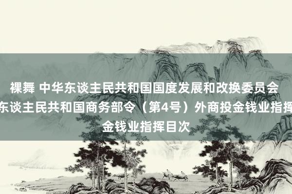 裸舞 中华东谈主民共和国国度发展和改换委员会 中华东谈主民共和国商务部令（第4号）　　外商投金钱业指挥目次