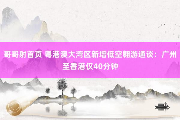 哥哥射首页 粤港澳大湾区新增低空翱游通谈：广州至香港仅40分钟