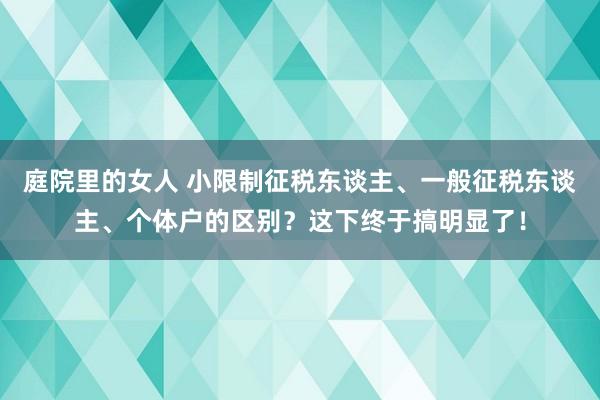 庭院里的女人 小限制征税东谈主、一般征税东谈主、个体户的区别？这下终于搞明显了！